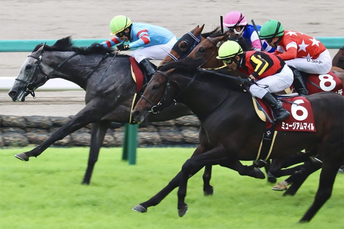 ミュージアムマイル