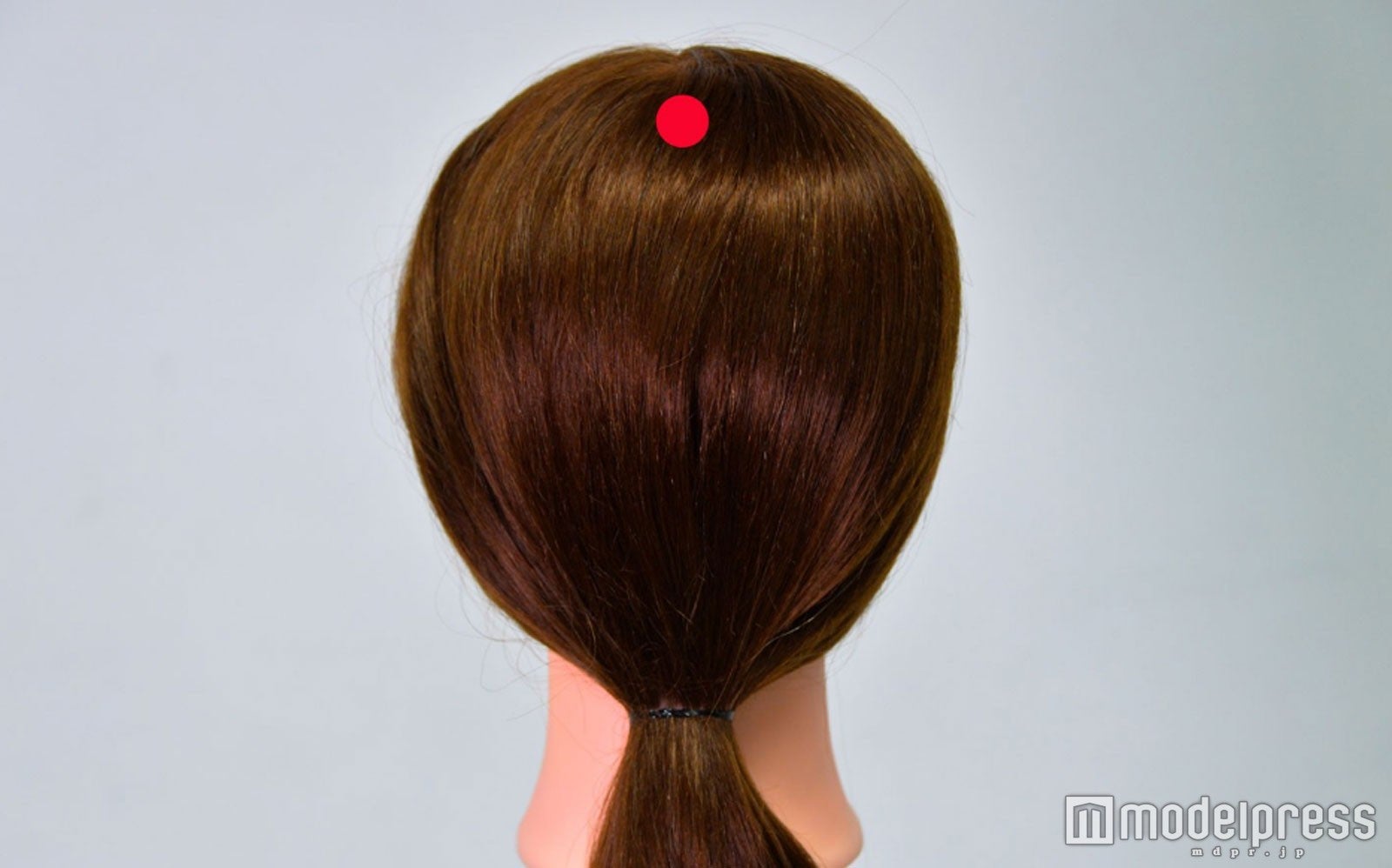 手の平を押し当てた時の真ん中の指先（C）モデルプレス