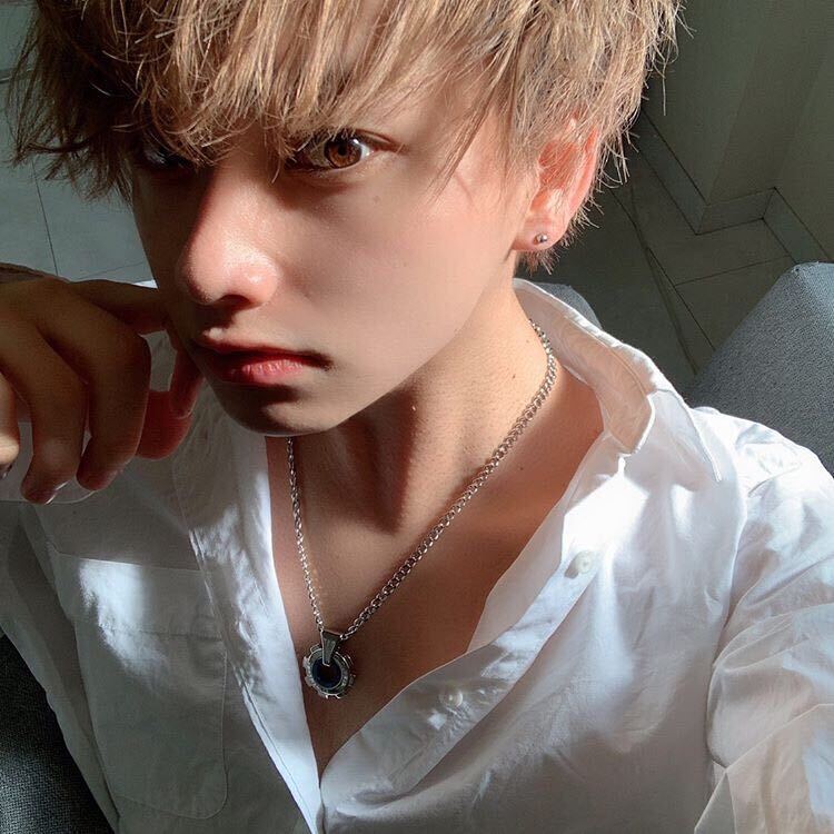 たもん（提供写真）