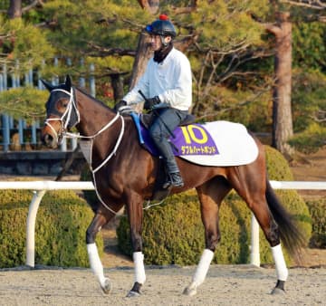 【フェブラリーS】ダブルハートボンド 主役として迎え撃つ 牝馬初制覇へ大久保師も自信「状態は申し分ない」