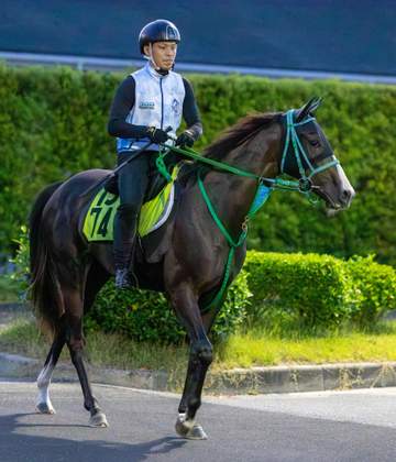 【新馬戦】アレオクール 池添師「雰囲気のある馬」 1歳上の半姉クールフランも新馬勝ち