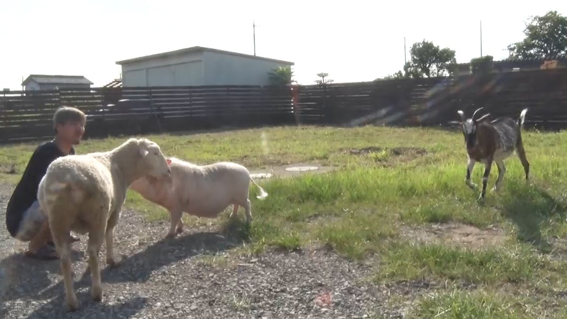 えーし（提供写真）