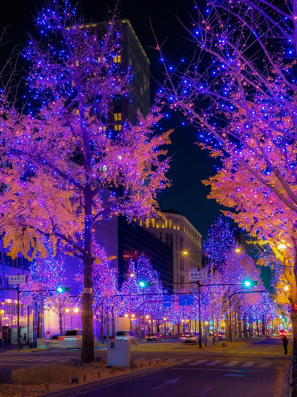 過去のイルミネーションの様子（C）大阪・光の饗宴実行委員会