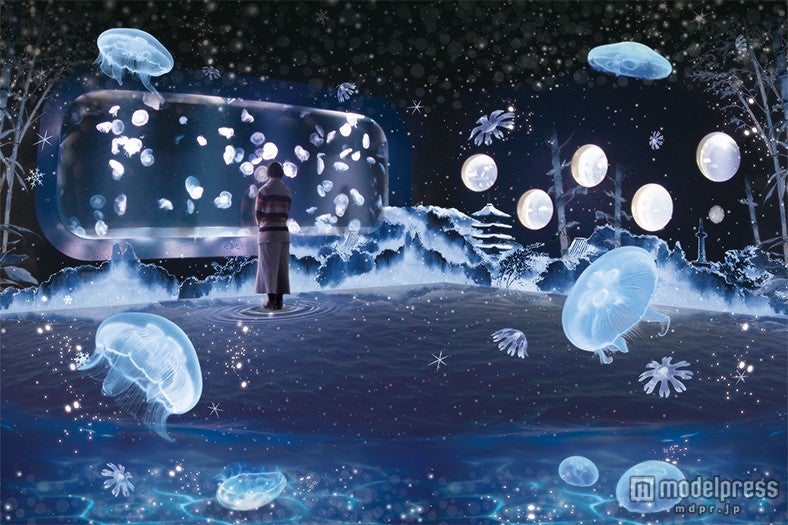 「冬を楽しむインタラクティブアート『雪とくらげ』」／画像提供：京都水族館