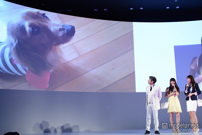 愛犬を紹介した飯豊まりえ