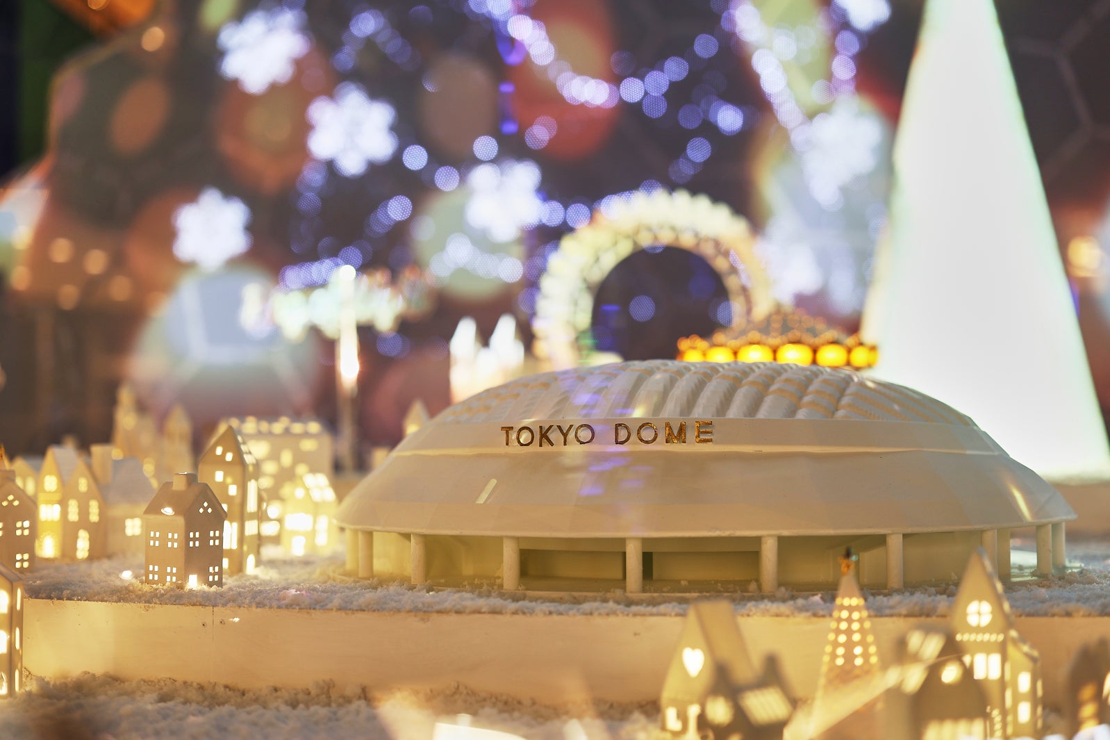 「TOKYO SNOW DOME CITY」（提供写真）