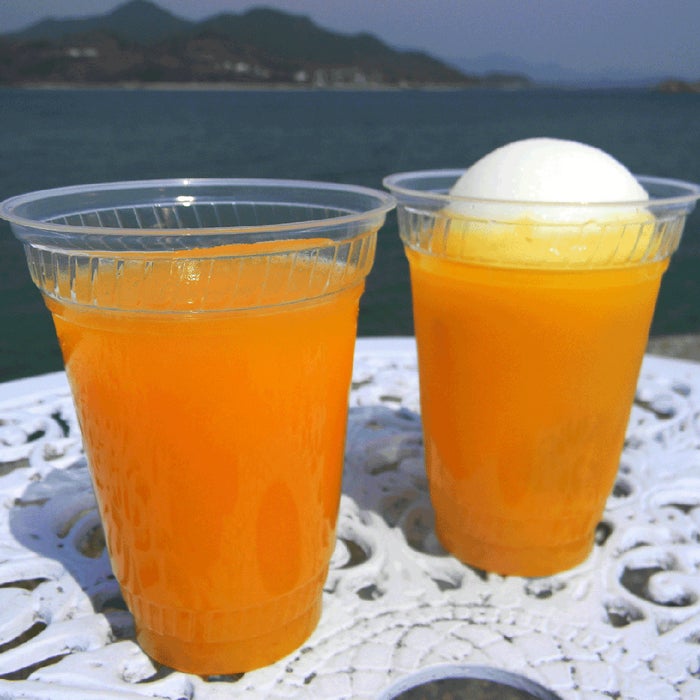 メニューイメージ（提供写真）