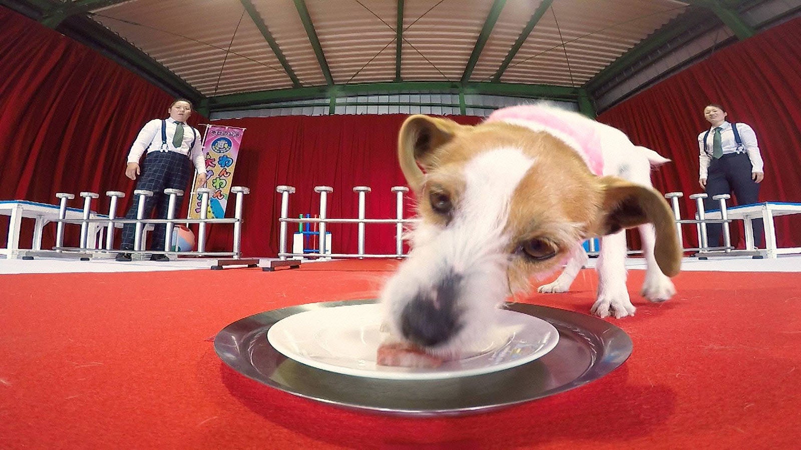 番組の様子 （C）フジテレビ