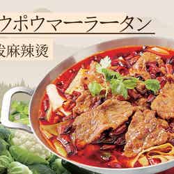 ヨウポウマーラータン(辛さが選べる/ライス付)/提供画像