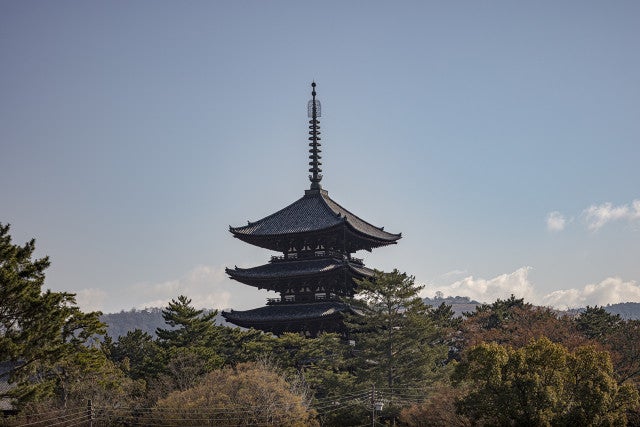 【秘密の絶景スポットも♡】世界遺産が徒歩圏内！“日本初”のホテルが奈良に誕生