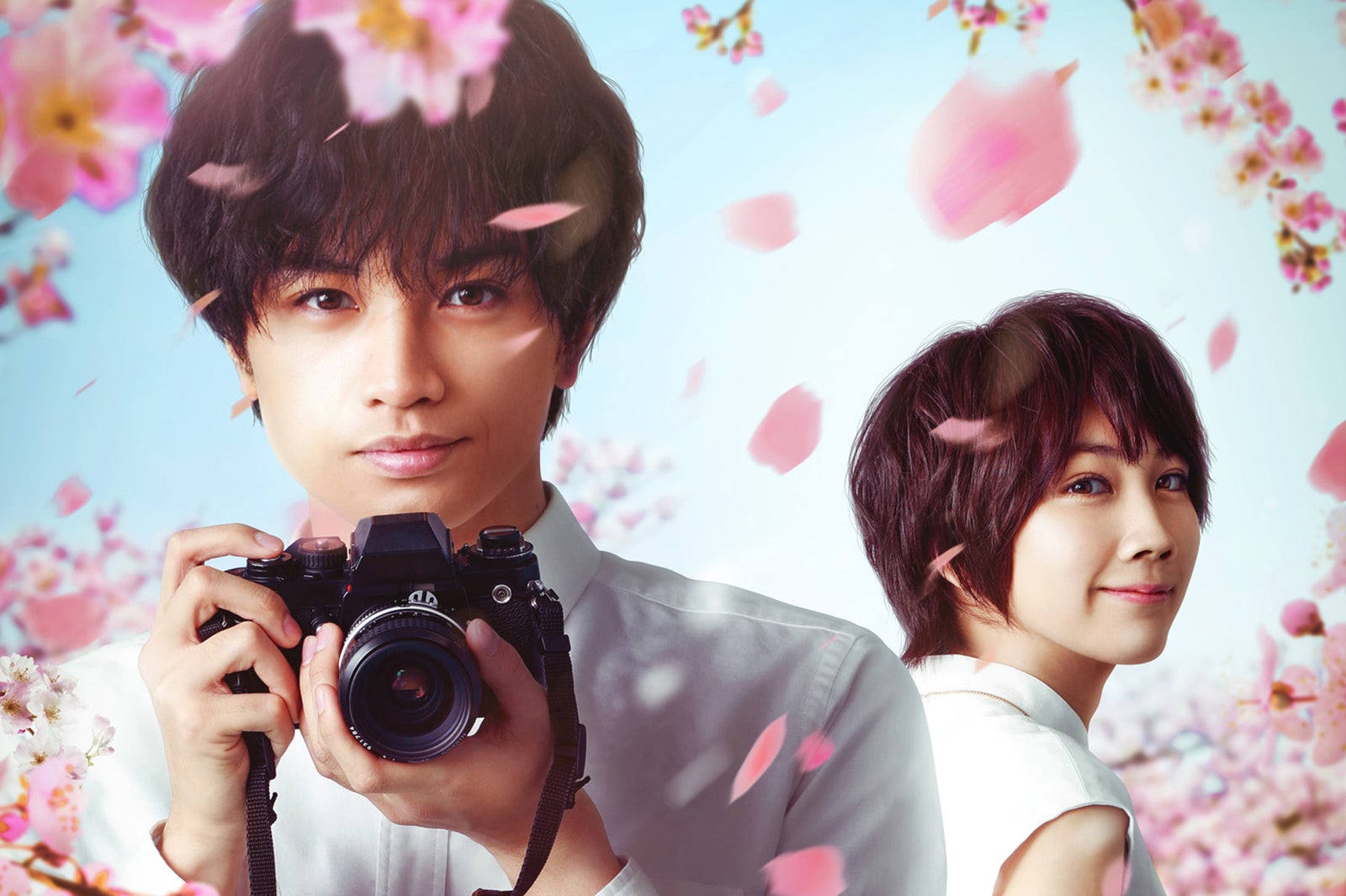 Sexy Zone中島健人「桜のような僕の恋人」ヒロイン役・松本穂香との“キュンエモ”デートシーン映像解禁