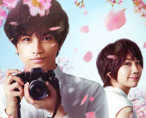 Sexy Zone中島健人「桜のような僕の恋人」ヒロイン役・松本穂香との“キュンエモ”デートシーン映像解禁