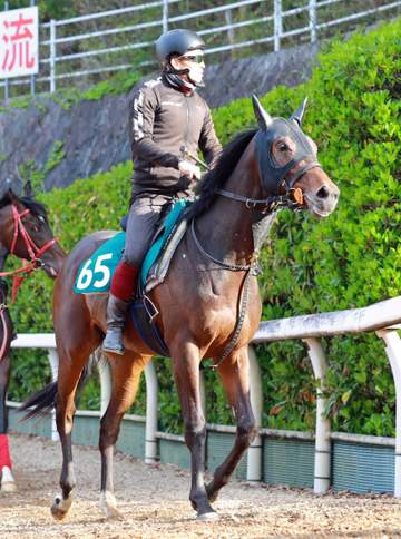 【新馬戦】ロジクラウン 山田助手が素質を大絶賛「馬のフォルム、動きの質がすごくいい」 追い切りでは抜群切れ味披露