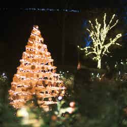 ライトアップの様子/提供画像