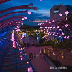 センソリースケープ(C)モデルプレス