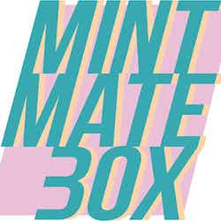 MINT mate box（提供写真）
