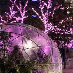 「目黒川みんなのイルミネーション2019」過去開催の様子/画像提供:目黒川みんなのイルミネーション実行委員会