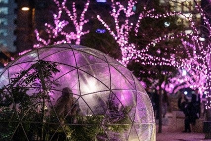 「目黒川みんなのイルミネーション2019」過去開催の様子/画像提供:目黒川みんなのイルミネーション実行委員会