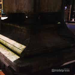 炎のゴブレット/ワーナー ブラザース スタジオツアー東京 – メイキング・オブ・ハリー・ポッター(C)モデルプレス