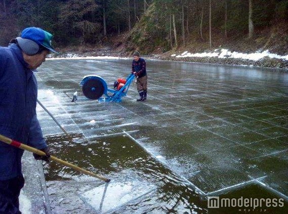 日光天然氷切り出し／画像提供：「ご当地かき氷祭」PR事務局