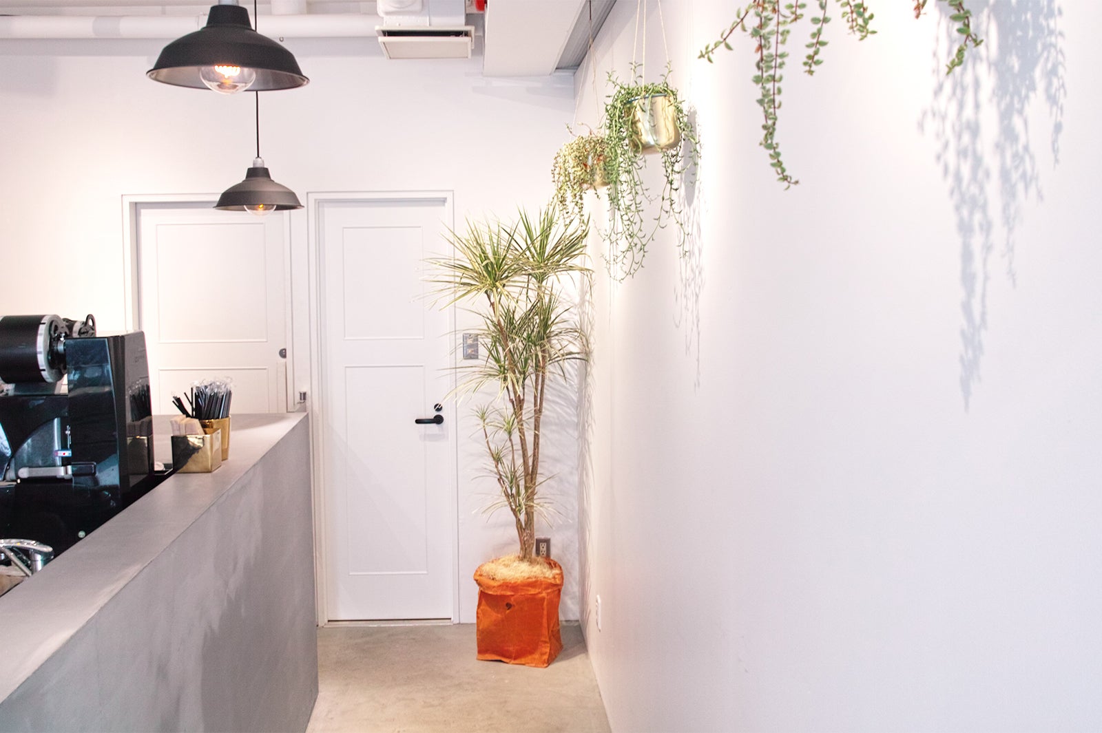 コンマティー（提供画像）