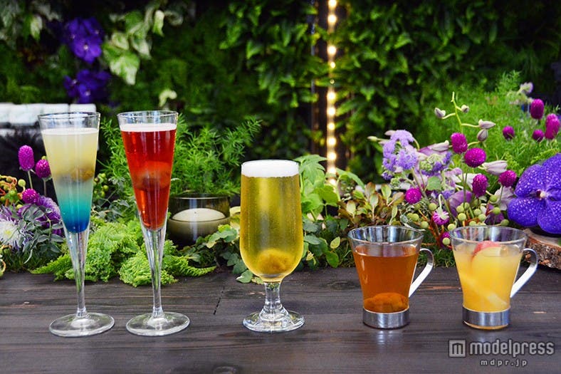 (左から)「CHOYA紀州」ベースの「CHOYA ブルー」と「CHOYA ルビーグロス」各¥900、「酔わないウメッシュ」ベースの「CHOYA レディ」、「CYOYA紀州」ベースの「CHOYA ジンジャーティー」と「CHOYA ホットリゾート」各¥700(全て税抜)