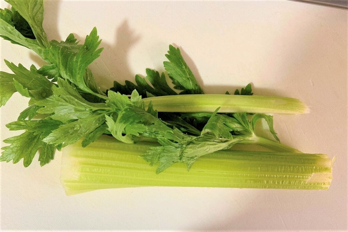 北斗晶　セロリ