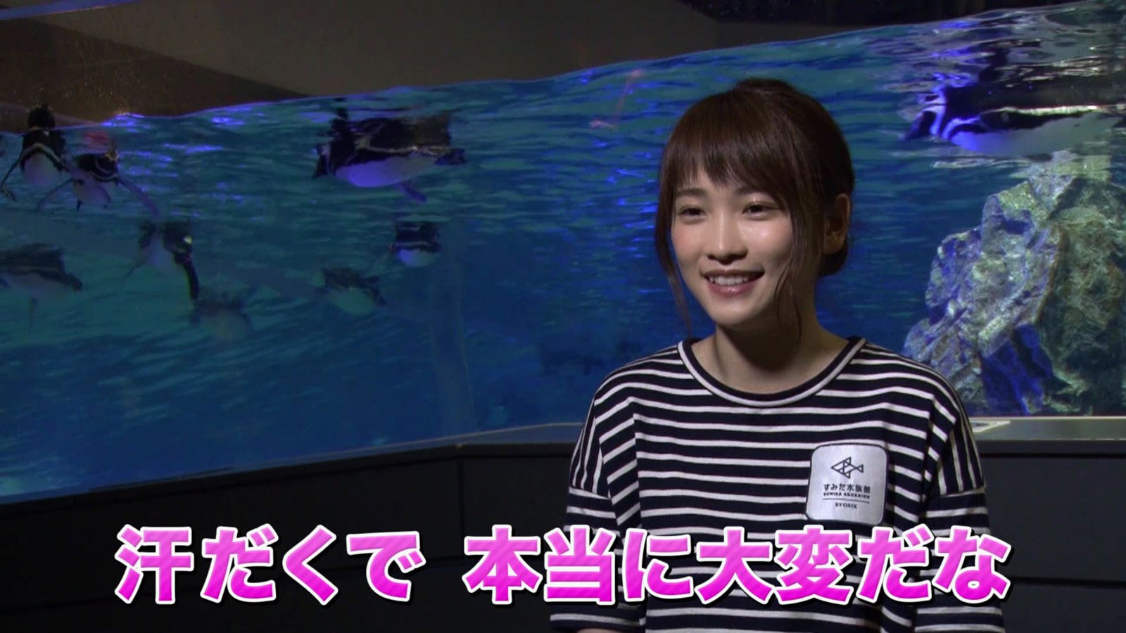 川栄李奈、女優から飼育員に転職？水族館で“ガチ仕事”