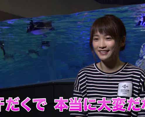 川栄李奈、女優から飼育員に転職?水族館で“ガチ仕事”