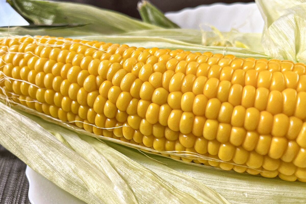 トウモロコシ