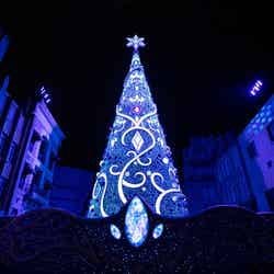 2019年のクリスマスツリー/画像提供:ユニバーサル・スタジオ・ジャパン