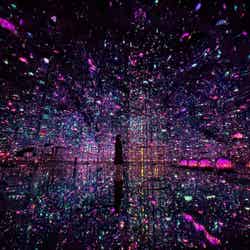 森ビル デジタルアート ミュージアム:エプソン チームラボボーダレス(C)チームラボ