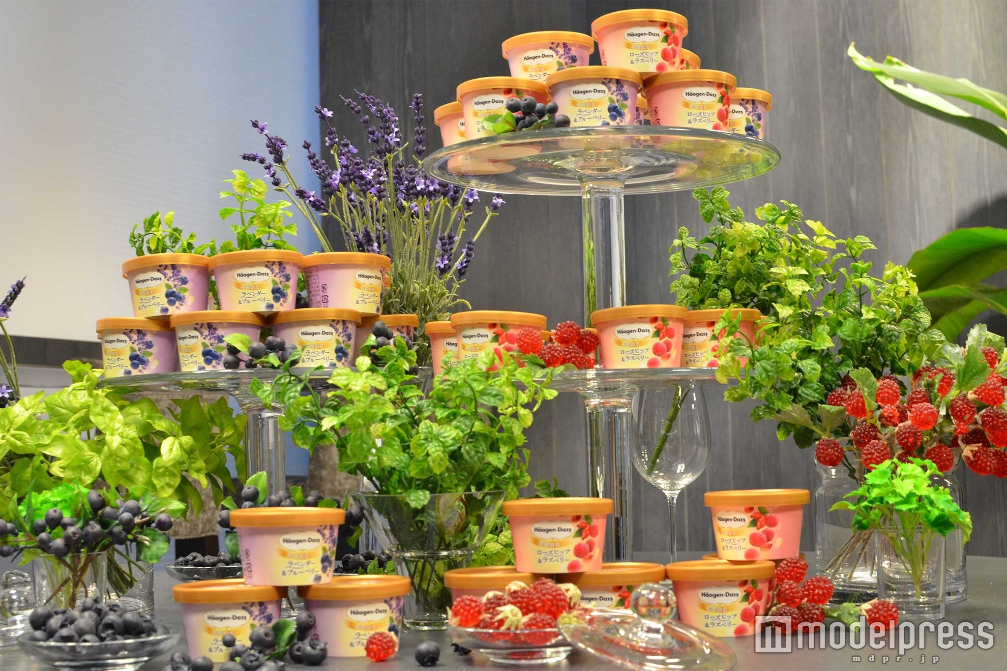 ハーゲンダッツ ミニカップ「ラベンダー＆ブルーベリー」、「ローズヒップ＆ラズベリー」／（C）モデルプレス