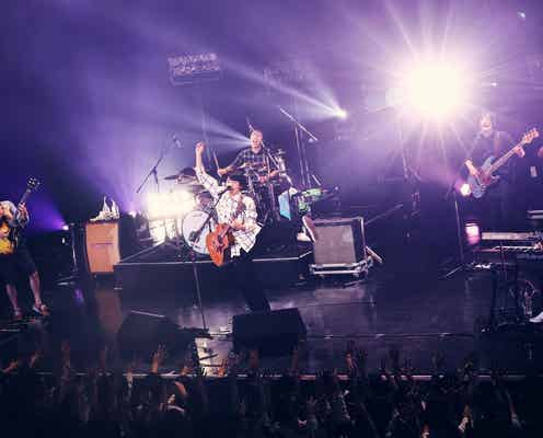 2019年最注目バンド・sumika、快進撃の理由とは?メンバーがブレイクまでに感じた「夢を叶える秘訣」<モデルプレスインタビュー>