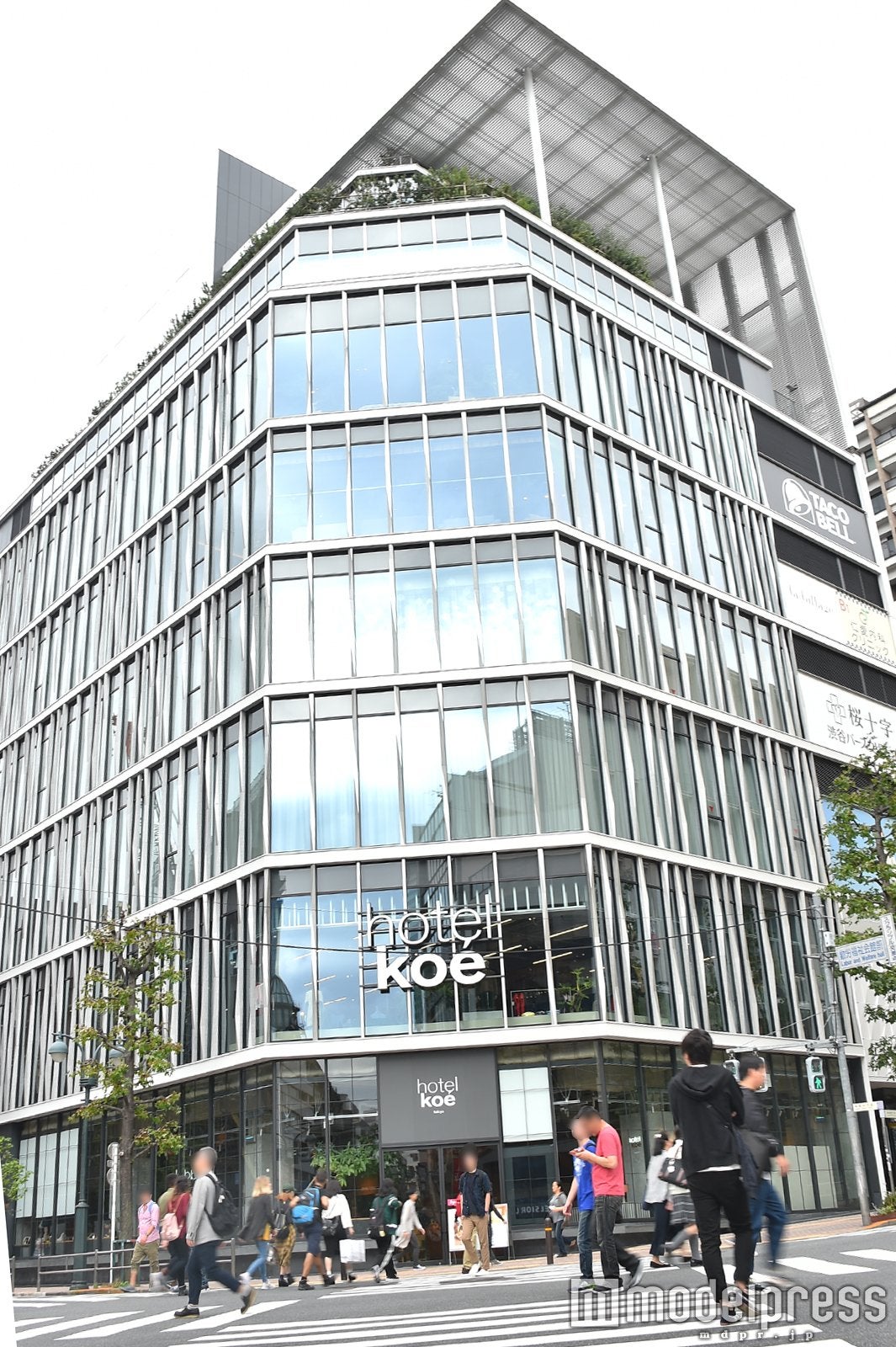 hotel koe tokyo（C）モデルプレス
