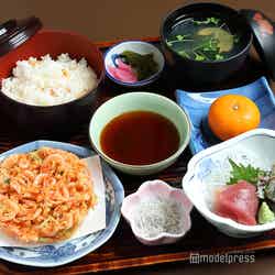 駿河定食 1,950円(税込)。香ばしい桜エビのかき揚げと、桜エビご飯、地魚のお刺身つき。(C)モデルプレス