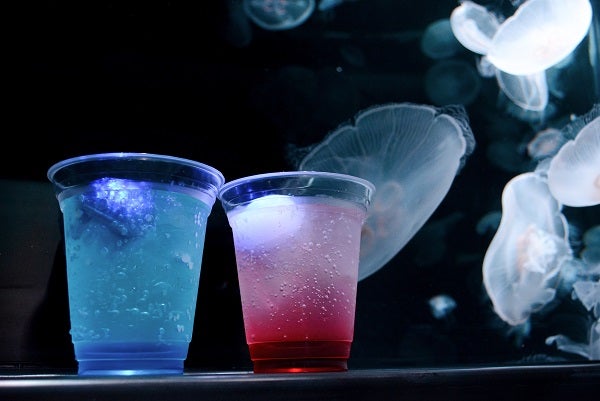 画像提供：京都水族館