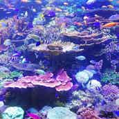 40代と聞いて驚いた女性歌手ランキング モデルプレス 40代と聞いて驚いた女性歌手ランキング モデルプレス