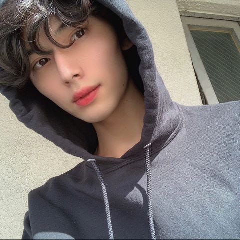 ぺい(提供写真)