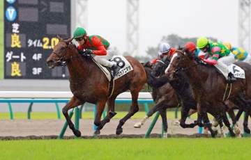 【新馬戦】トロカアニマダ 末脚さく裂デビュー勝ち 国分恭が今後に期待「おっとりしたところがある。成長力がありそう」