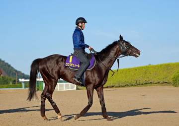 クロワデュノールの単勝が1.1倍に 複勝との“逆転現象” 過去には“ミラクルおじさん”が1222万円購入して一時的に単勝1.7倍になったことも