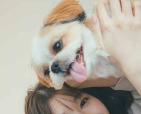 日向坂46高本彩花、愛犬と密着2ショット 1st写真集封⼊ポストカード第3弾解禁【僕の記憶の中で】