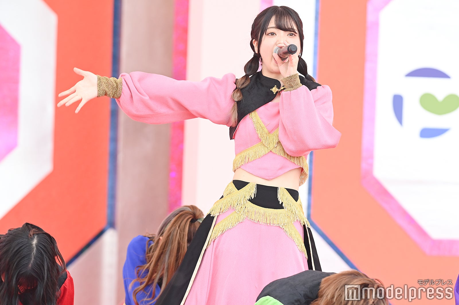 豆柴の大群（C）モデルプレス