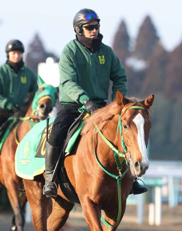 堀江貴文氏の所有馬・イッテラッシャイがUAEダービー招待を受諾 勝てばケンタッキーダービーへの出走も可能に