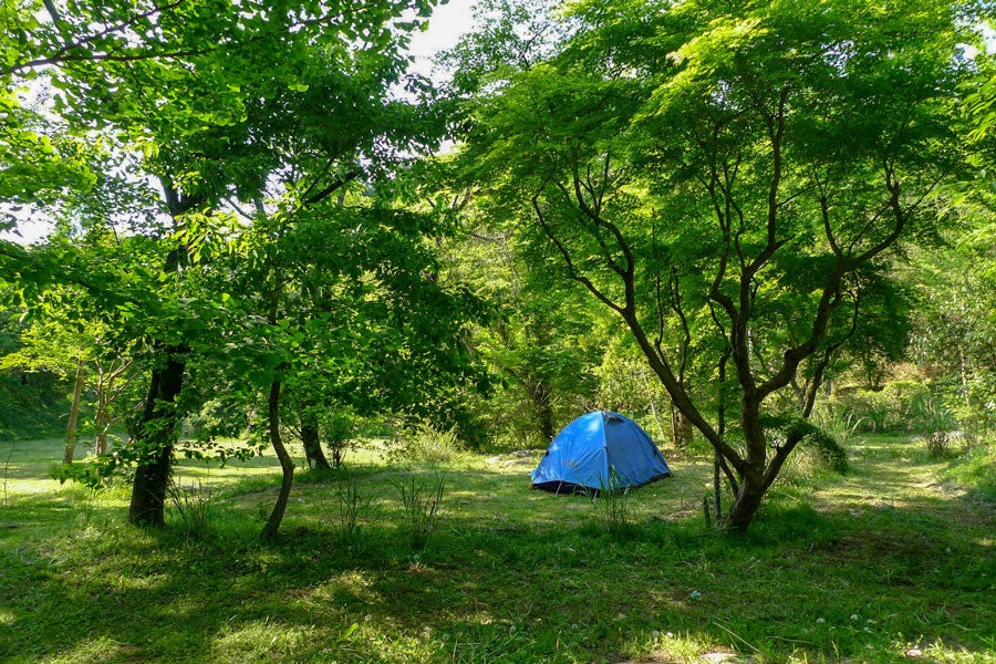 有野実苑オートキャンプ場