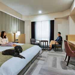 イヌモ芝公園/画像提供:住友不動産ヴィラフォンテーヌ