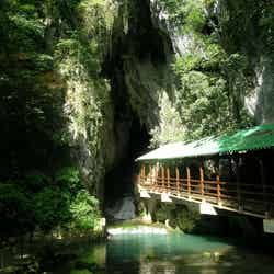 秋芳洞正面入口/提供画像