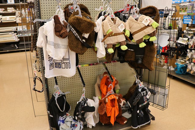 petco_4.jpg