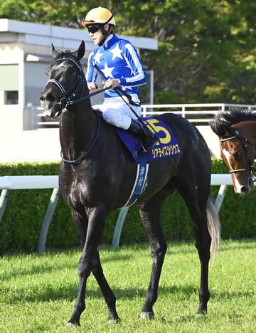 皐月賞2着のリアライズシリウスは予定通りダービーへ 4着のアスクエジンバラは引き続き岩田康でダービーへ