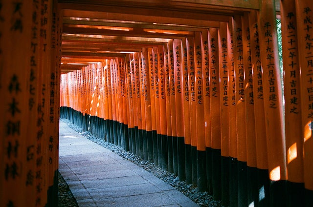 伏見稻荷 京都 Kyoto, Japan / AGFA VISTAPlus / Nikon FM2 by Toomore